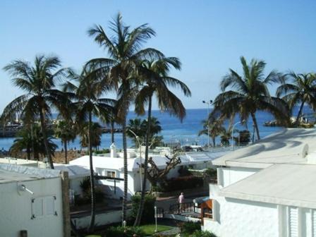 Sirena Apartments Puerto Rico  Kamer foto